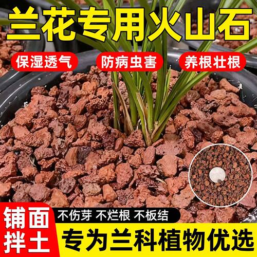 【透气净水】兰花专用火山石颗粒