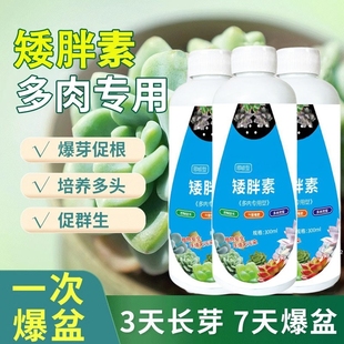 多肉矮胖素防徒长增肥上色矮壮剂桃蛋生石花盆栽通用养花营养液