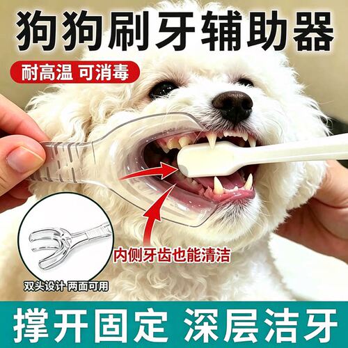 狗狗刷牙辅助扩口清洁用品