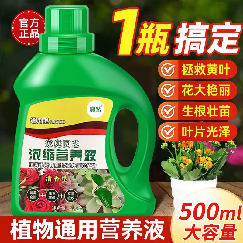 植物营养液通用型家用养花卉黄金葛水培绿植多肉盆栽发财树液体肥