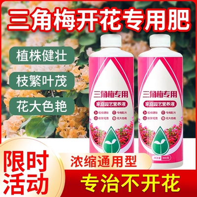 三角梅开花专用营养液肥促花爆花