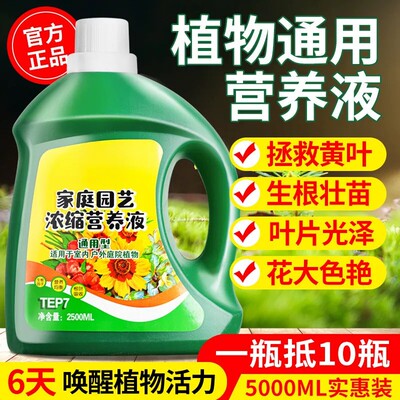 【一次爆盆】植物通用营养液
