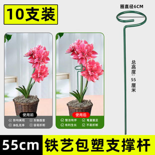 植物防倒伏支架铁艺绣球吊兰支伸缩杆园艺固定架爬藤花卉朱顶红花
