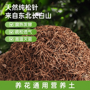 兰花松针土橡树叶腐叶腐熟松针多肉君子兰专用天然营养腐殖土花土