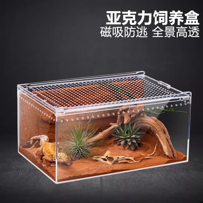 爬宠亚克力饲养盒爬虫守宫寄居蟹箱蜥蜴蛇角蛙蜘蛛蜗牛甲虫生态缸,宠物/宠物食品及用品,爬宠缸/箱,淘宝优惠券,粉丝福利购,淘宝优惠卷