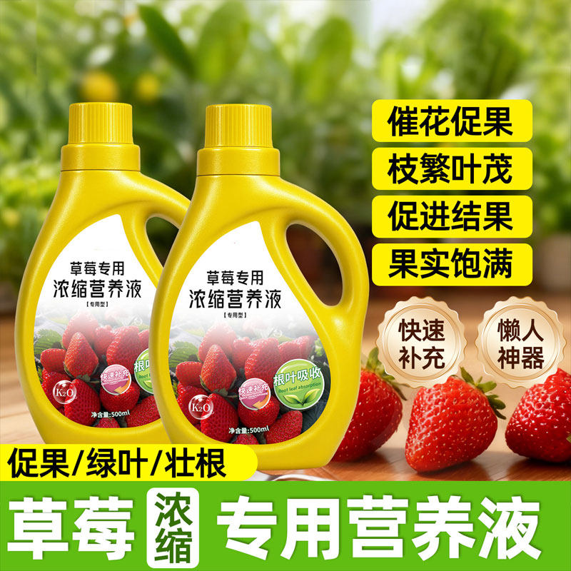 草莓营养液专用肥植物水培家用农家阳台盆栽肥料蔬菜水果绿植通用,鲜花速递/花卉仿真/绿植园艺,家庭园艺肥料,淘宝优惠券,粉丝福利购,淘宝优惠卷