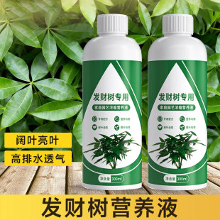 发财树专用营养液肥料水培植物叶子发黄掉叶液体复合肥补充氮磷钾