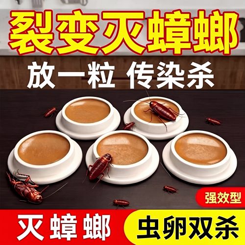 【连环杀蟑】全窝传染蟑螂药