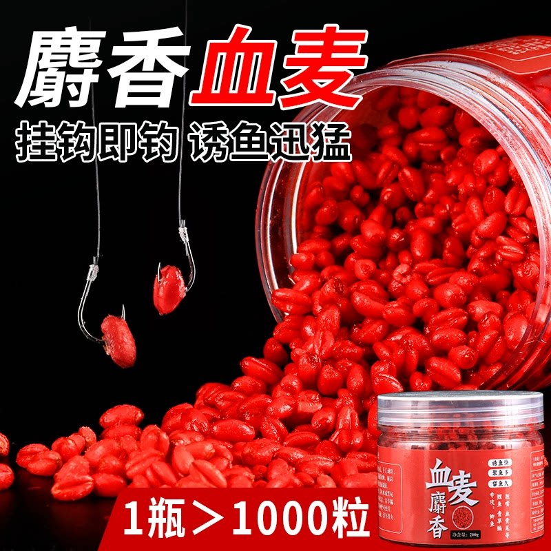 钓鱼小麦粒麝香血麦谷麦野钓鲫鱼鲤鱼草鱼专用麦粒麦子颗粒鱼饵料