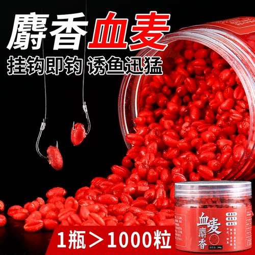【钓鱼小麦粒】颗粒鱼饵料