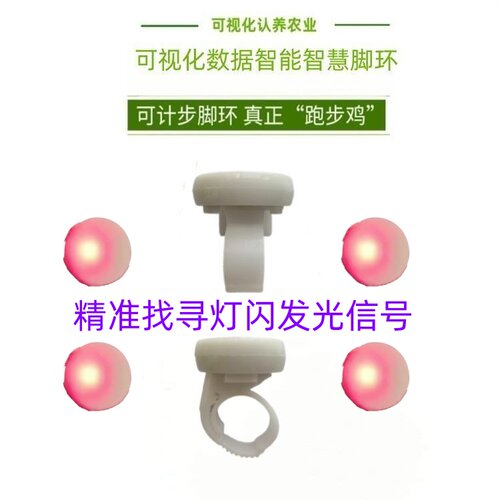 鸡鸭鹅养殖电子溯源计步定位脚环