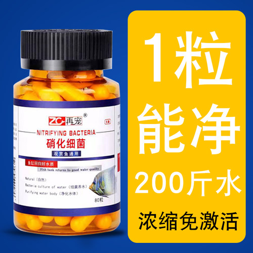 硝化细菌胶囊鱼缸专用净水稳定剂