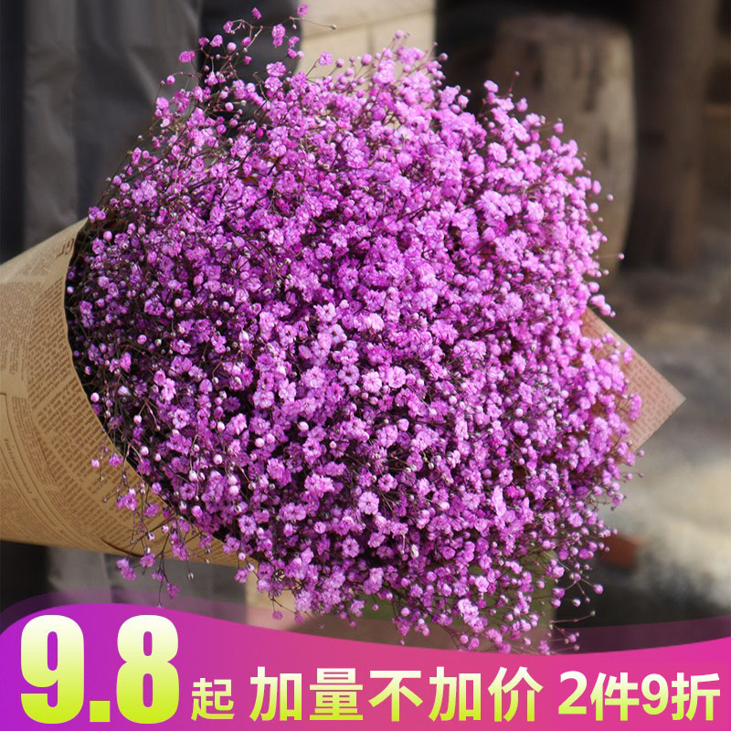 云南昆明干花直批满天星干花花束满天星真花干花论斤卖干花礼盒