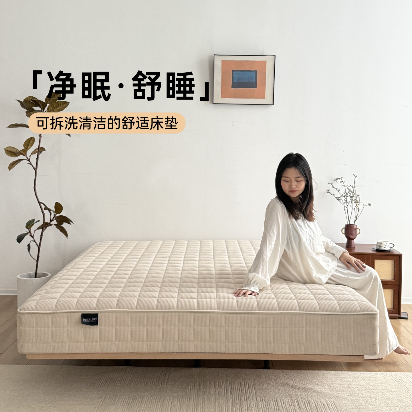 卡得利净眠床垫席梦思独立弹簧可拆洗天然抗菌双人1.51.8米床垫