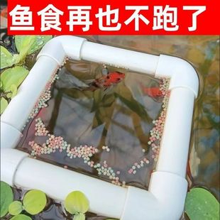 鱼缸喂食圈防飘散浮萍阻拦器龟缸投食圈大号带吸盘鱼粮投喂漂浮圈