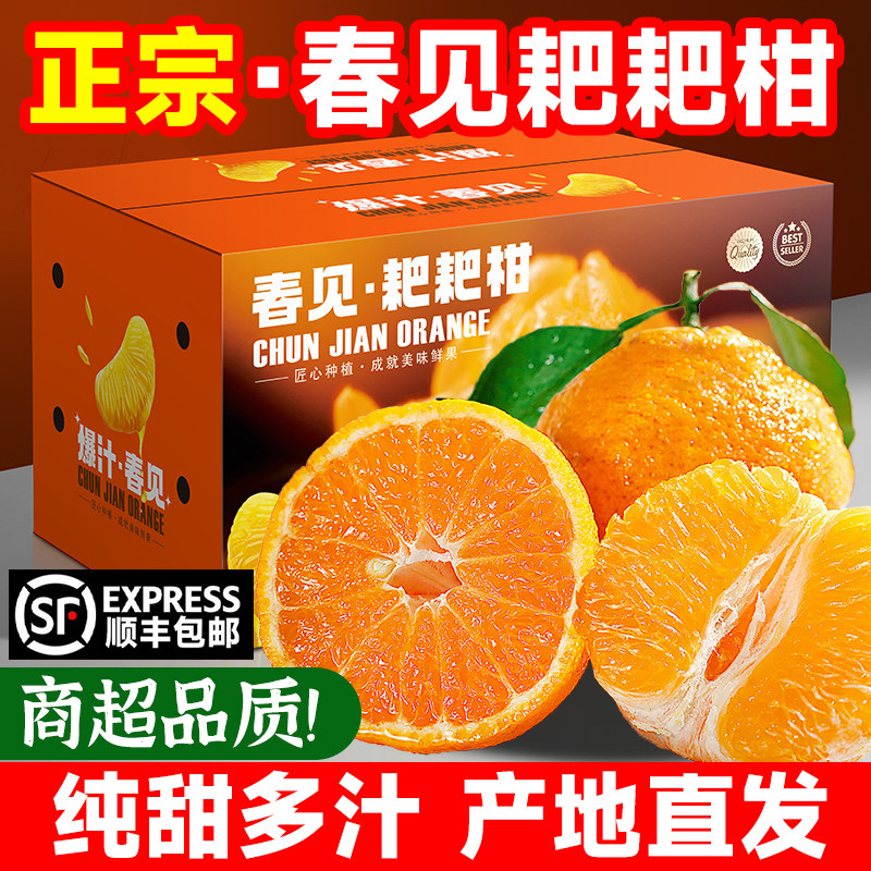 正宗四川春见耙耙柑粑粑柑新鲜水果应季桔子礼盒整箱净重顺丰包邮