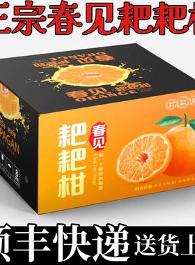 正宗四川春见耙耙柑礼盒现摘当季新鲜水果春见粑粑柑10斤顺丰包邮