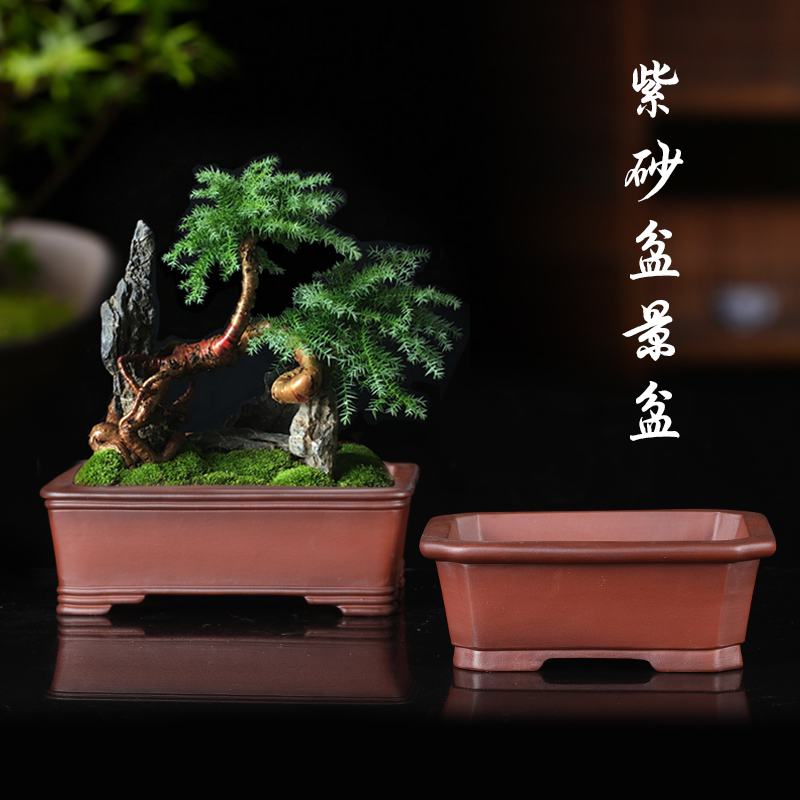 紫砂花盆仿古精品陶瓷马槽长方形盆景盆老桩多肉阳台