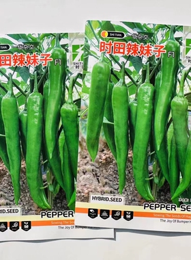 时田辣妹子辣椒种子早熟羊角椒种籽中辣青红两用春秋播种蔬菜种子