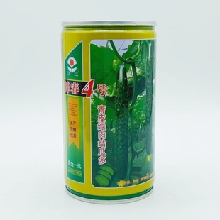 鲁赢津春4号黄瓜种子较早熟青皮绿肉长条青瓜种籽密刺抗病春秋播