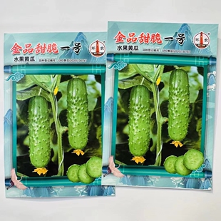 金品甜脆一号黄瓜种子短棒型薄皮水果黄瓜种籽少刺溜春秋播瓜果籽