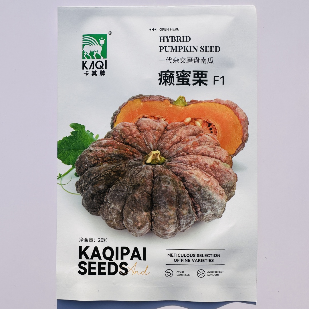 癞蜜栗丑蜜本南瓜种籽 粉甜香糯多用途南瓜种籽蔬菜种孑耐热抗病