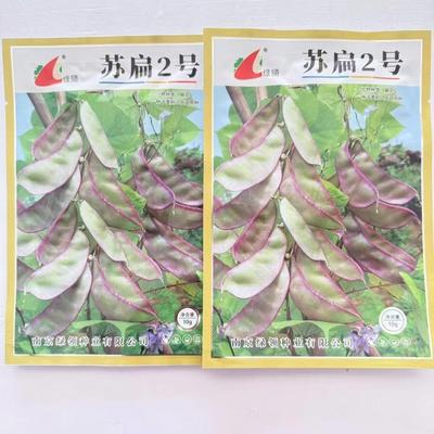 黄金豆角种子抗病耐抽苔