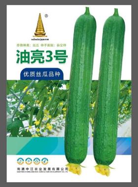 油亮3号早熟丝瓜种子瓜皮绿色油亮瓜圆柱形肉厚味浓长丝瓜蔬菜籽