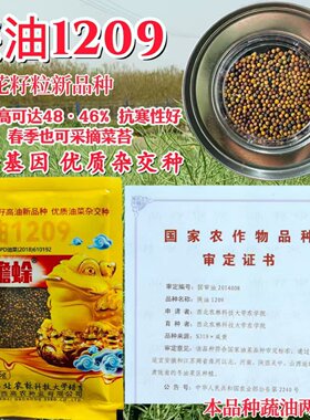 金蟾蜍陕油 1209油菜种子 西北农林培育高油杂交抗病高产榨油种籽