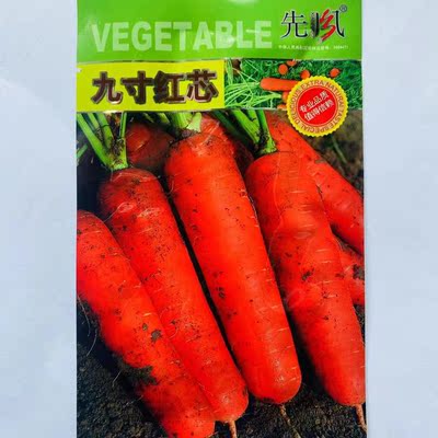 荣鼎九寸红芯胡萝卜种子秋播速生耐热抗病高产三红萝卜种籽包邮