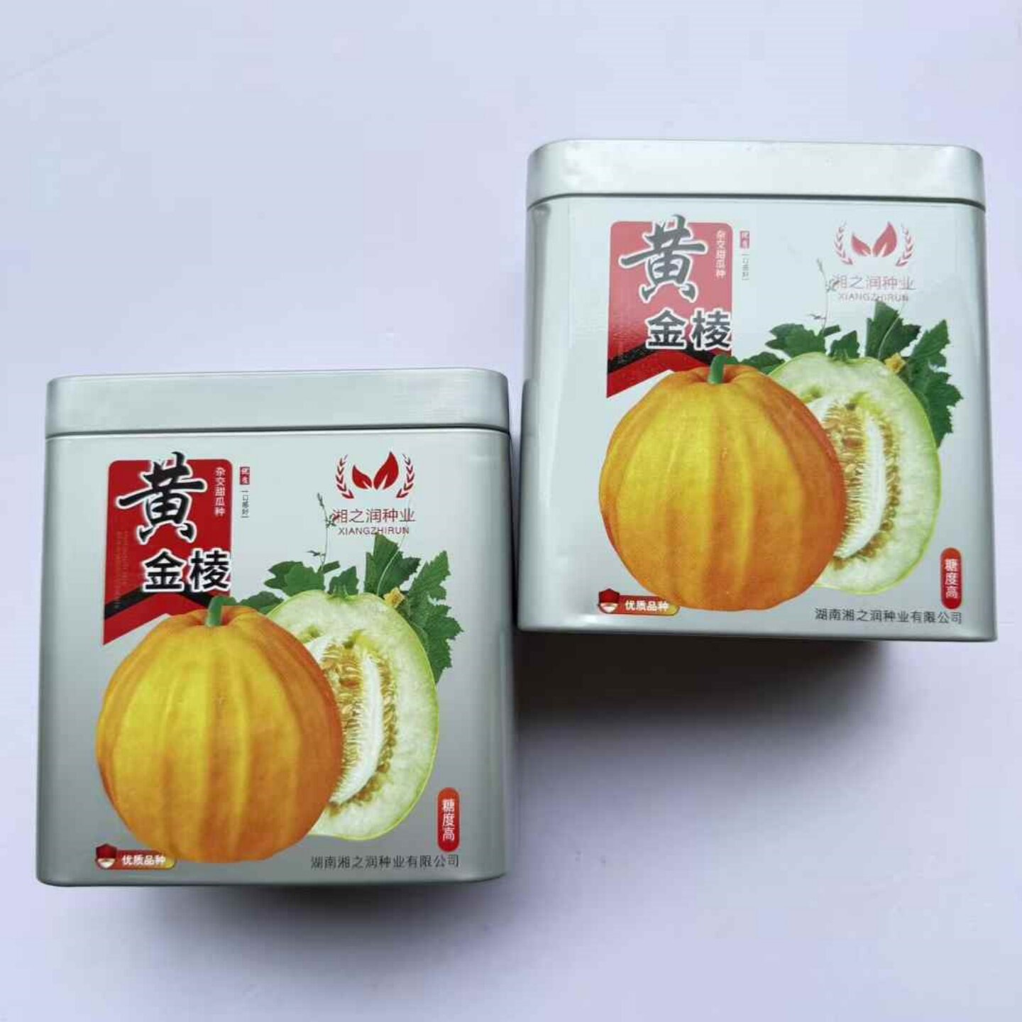 黄金棱甜瓜种子春秋播种薄皮脆肉香瓜种籽果皮金黄色高糖多汁水果