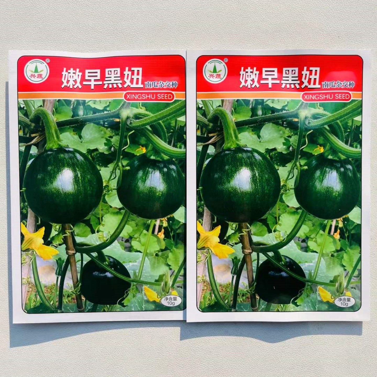 嫩早黑妞小南瓜种子早熟耐寒嫩瓜高圆形深绿色肉厚一串铃南瓜种籽