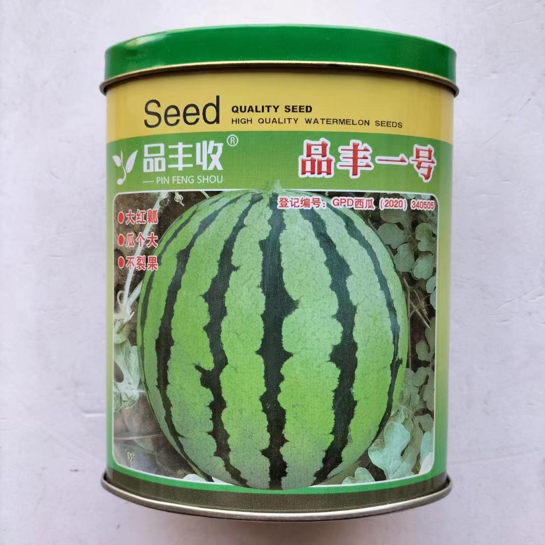 品丰一号西瓜种子花皮圆果大红瓤大果麒麟8424西瓜种籽耐重茬抗裂