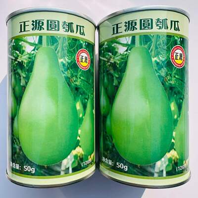 正源圆瓠瓜种子一代杂交早熟耐热甜蒲瓜菜葫芦小瓠子短棒瓠瓜种子