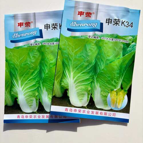 申荣K34快菜种子早熟速生油亮小白菜种籽黄心无茸毛春夏秋播蔬菜