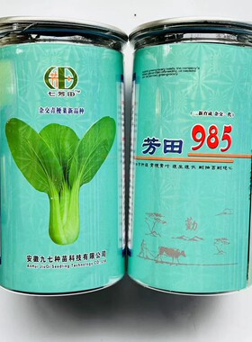芳田985青梗菜种子四季播小白菜油菜上海青种籽耐抽苔苏州青高产