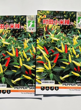 时田小米辣早熟小果单生朝天椒种子辣味香浓彩色小米椒种籽辣椒籽