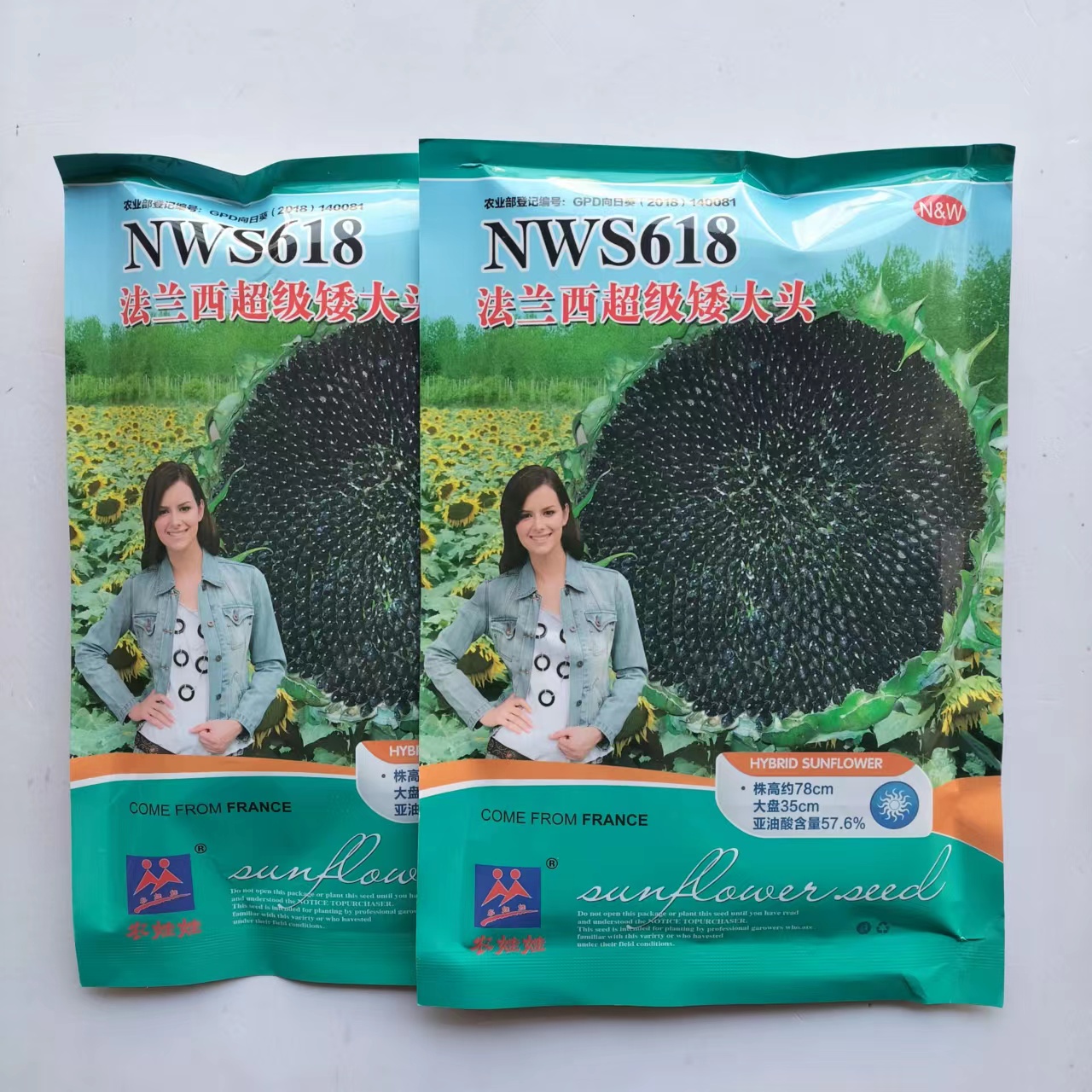 NWS618法兰西超级矮大头向日葵种子矮杆抗倒伏油葵种籽春季播高产