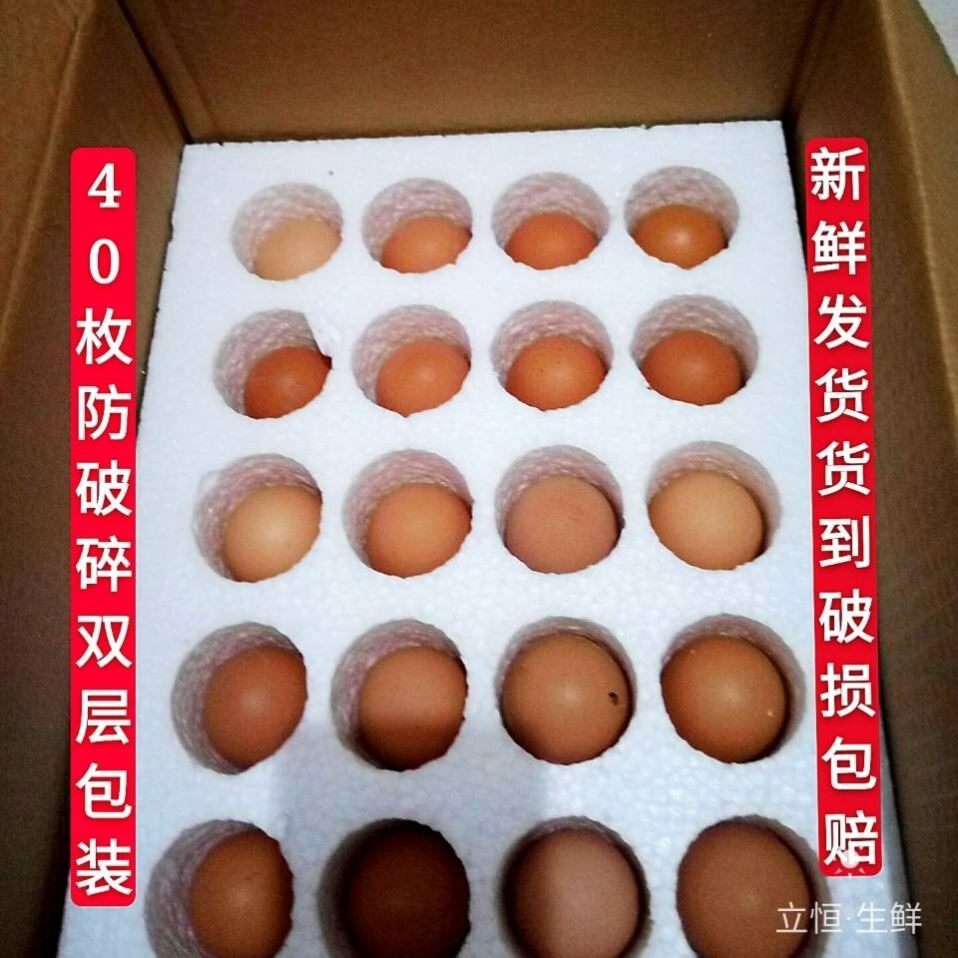 生的40枚装非活珠18天农家新鲜毛蛋鸡胚蛋毛鸡蛋喜蛋旺鸡蛋凤凰蛋