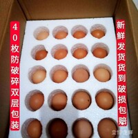 生的40枚装非活珠18天农家新鲜毛蛋鸡胚蛋毛鸡蛋喜蛋旺鸡蛋凤凰蛋