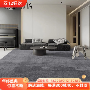 Rsemnia纯色客厅地毯轻奢高级茶几毯耐脏易打理简约卧室床边地毯