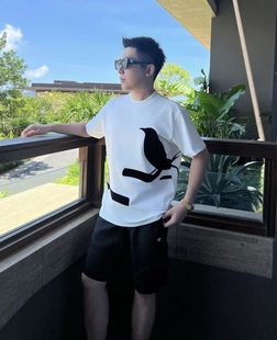 【仰望飞燕】25秋液氨棉立体植绒短袖T恤男士百搭情侣半袖WYG9965