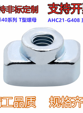 型材专用配件 紧固部分 国标40系列 T型螺母  AHC21-G408-M4/5/6