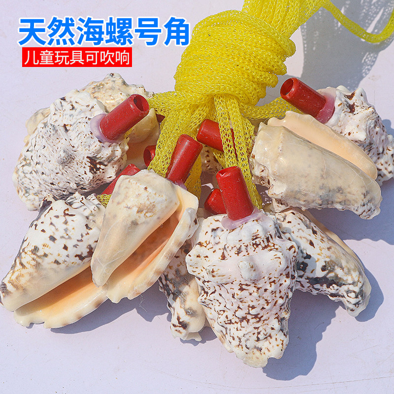 地摊小玩具创意海螺贝壳工艺品青蛙螺号玩具口哨吹螺旅游区纪念品