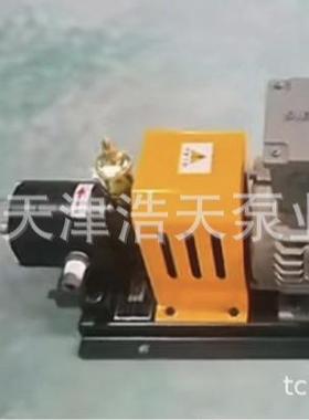 氟塑料四氟齿轮泵TDLS 硫酸 盐酸 醋酸 草酸 氢氧化钠 甲醇齿轮泵