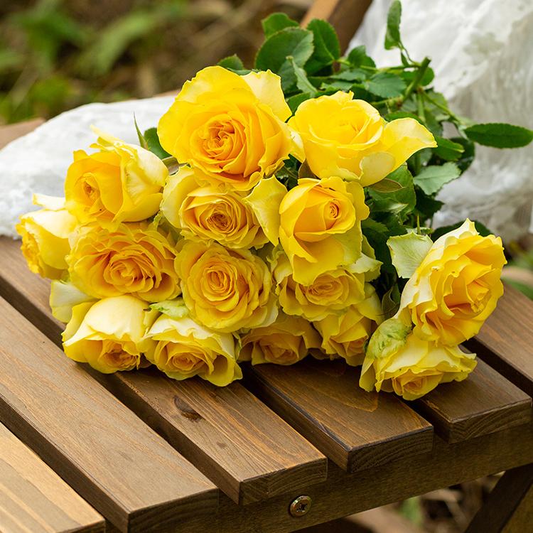 天狼鲜花国产自育月季玫瑰