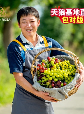 天狼果树葡萄柑橘柠檬桃树樱桃树莓庭院花园耐寒盆栽苗新手推荐