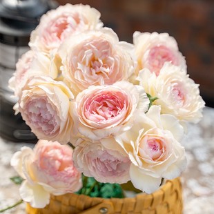 【直播福袋专享】玉碗纱1.2升盆