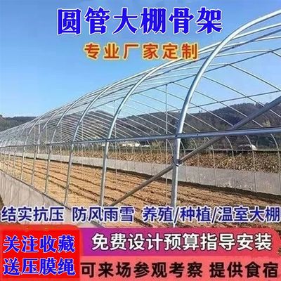 养殖大棚全套大棚骨架家用温室种植棚专业养鸡棚羊棚牛棚养猪大棚