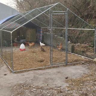 户外鸡棚超特大号鸡笼兔笼鸽子笼孔雀笼防雨鸡棚鸡舍搭建家用养殖